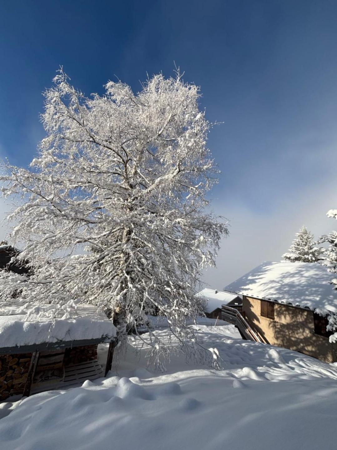 Chalet Rouge Ou Blanc Villard-Reculas ภายนอก รูปภาพ