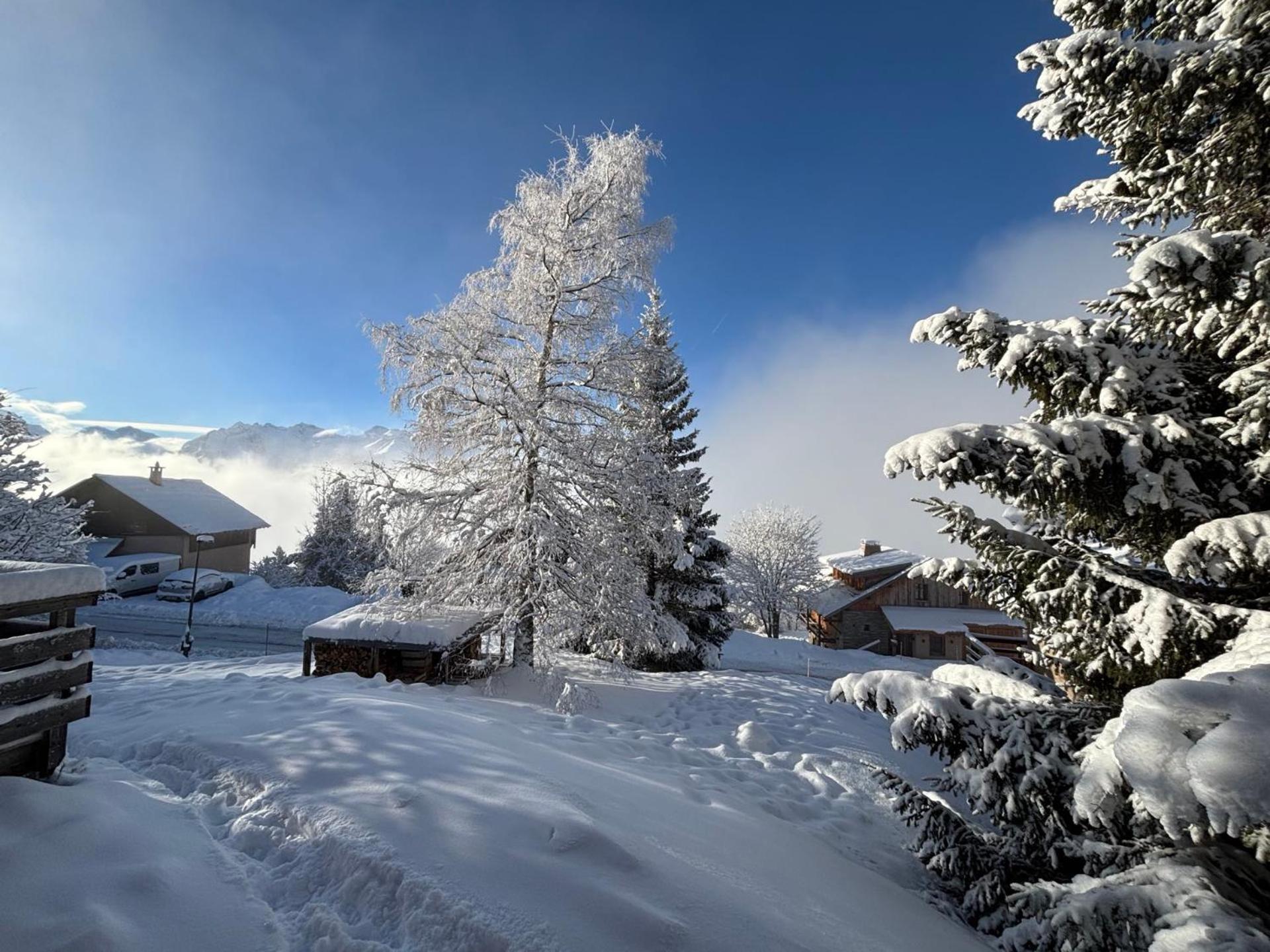 Chalet Rouge Ou Blanc Villard-Reculas ภายนอก รูปภาพ